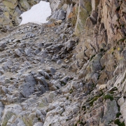 Mountain goats lounging on steep terrain.