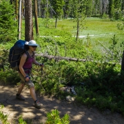 The five mile hike in was largely flat meandering through pine forests and the occasional meadow.