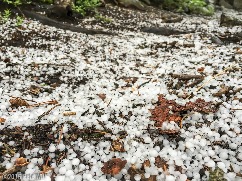 After making our way across the open marsh of the far side of Big Sandy Lake we took refuge under some large pines.  The hail and thunder kept going for about 40 minutes.  This storm is when Matt and Leanne had to bail from Pingora.