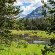 Big Sandy River looks like it would be great trout stream.