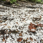 After making our way across the open marsh of the far side of Big Sandy Lake we took refuge under some large pines.  The hail and thunder kept going for about 40 minutes.  This storm is when Matt and Leanne had to bail from Pingora.