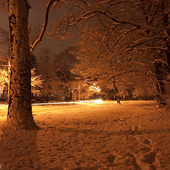 View from the park across from my house in New Haven.