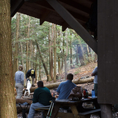 Hemlocks Shelter