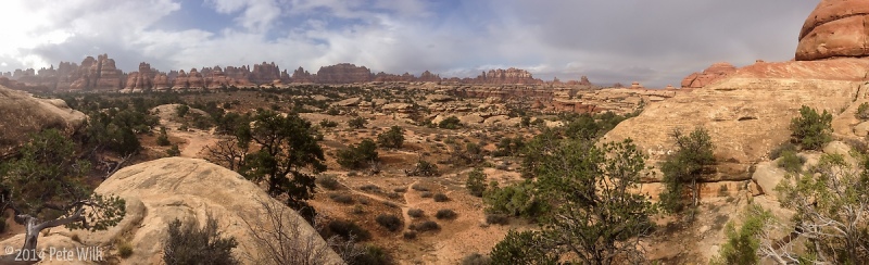 Panoramic view deep into Canyonlands National Park.