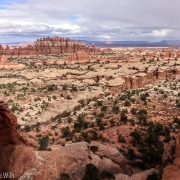 Canyonlands has some amazing topography and colors.
