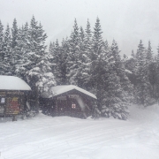 Wednesday up at Harvard cabin we got a great storm, of 10\" of 5% density snow with little wind.  Unfortunately I only had time to ski the Sherburn.