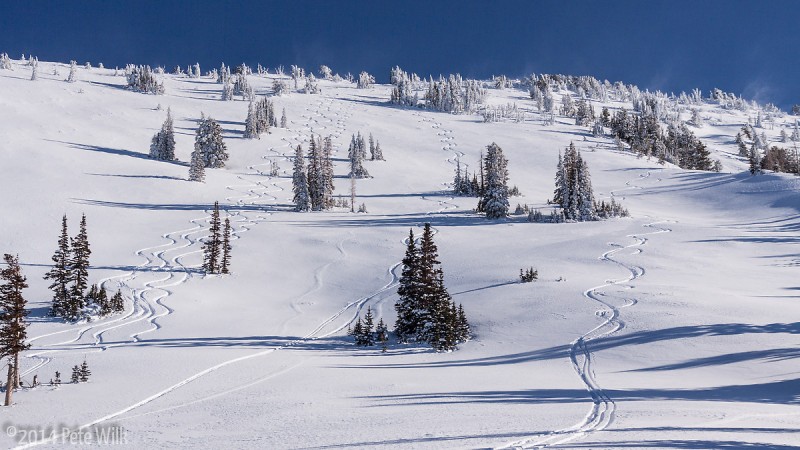 View back up our playground.  Carly and I made the two rightmost tracks.  Adam and Stephie the matching turns in the center.