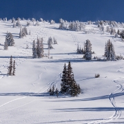 View back up our playground.  Carly and I made the two rightmost tracks.  Adam and Stephie the matching turns in the center.