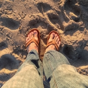 Flip flips on, feet in the sand, Pacific ocean at sunset.  Check, check, and check.