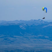 We saw a couple paragliders while we were on the summit.