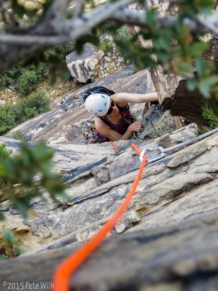 P2 of Diet Delight (5.9).