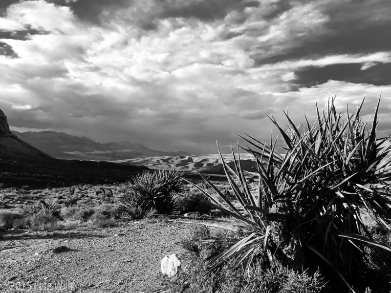 One of the many rain showers that persisted through the weekend.