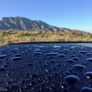Rain drops on the roof of Carly\'s car.