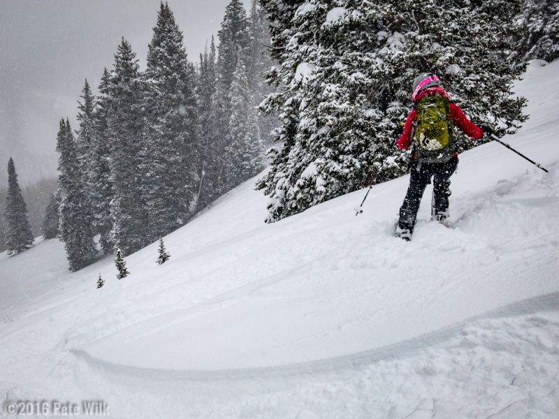 Carly kaing tracks down our first ski of the season at Tom\'s Hill.