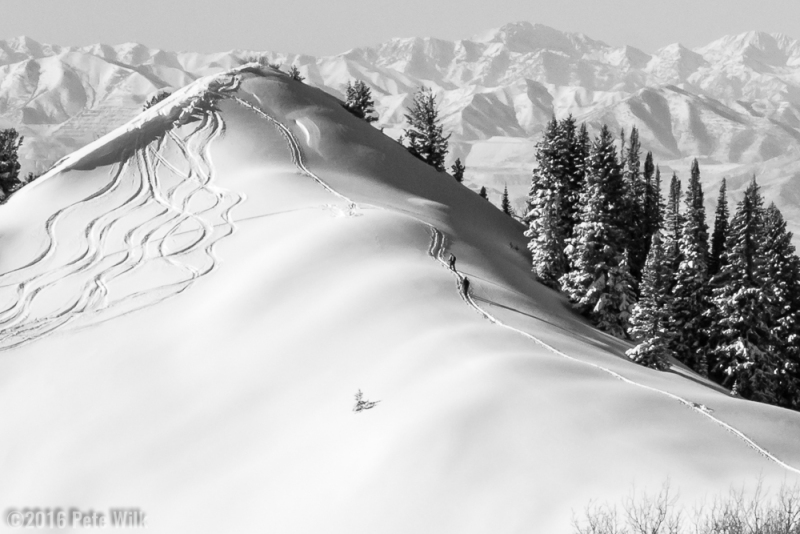 Skiers nearing the top of a knob on the west side of Beartrap.