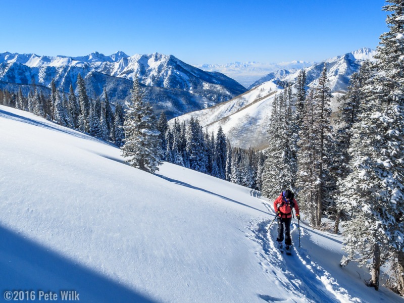 Nearing the top of Beartrap Glades.