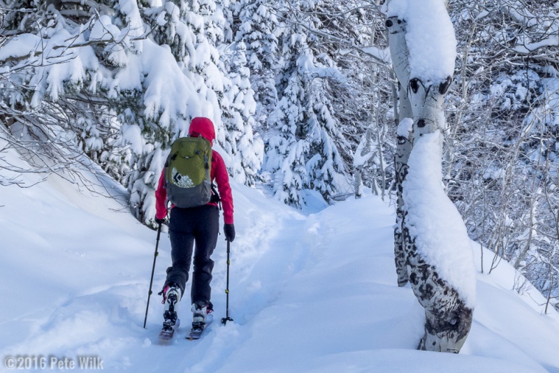 Carly treking out to Red Pine on the day after Christmas.