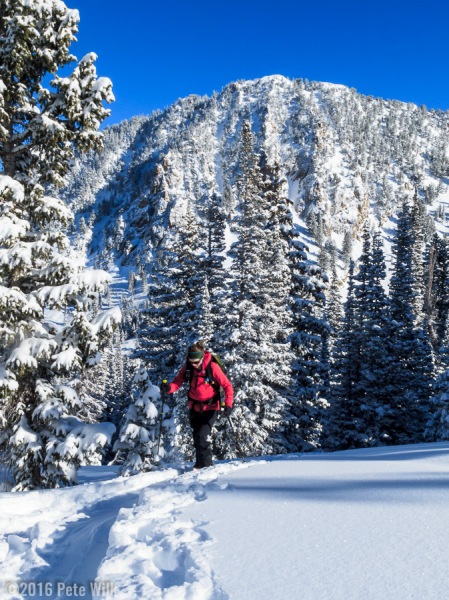 The tour to Red Pine is long, approximately two hours.