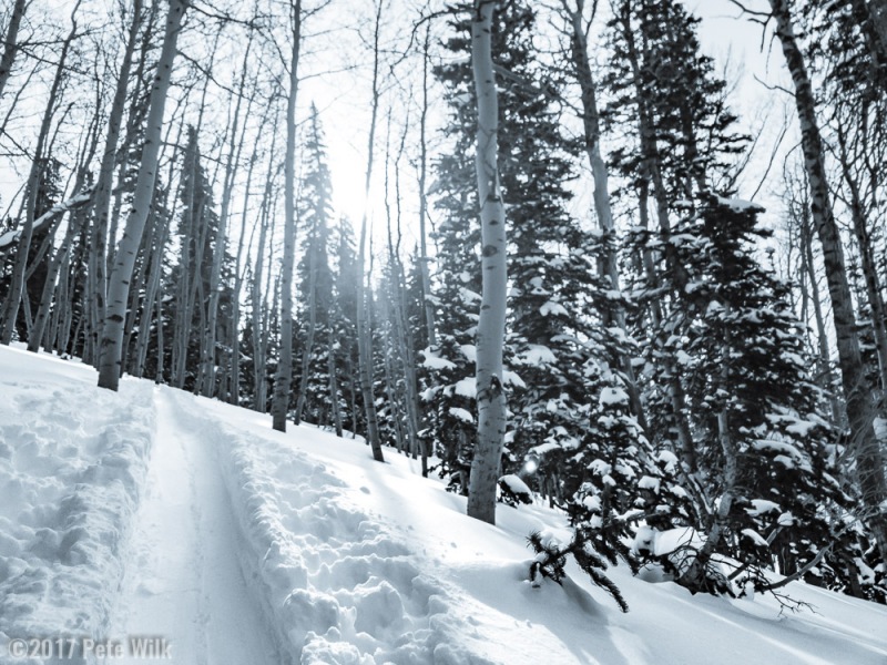 Wonderful ski over to Beartrap again with Carly, Kelly, and Alexis.