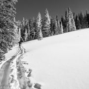 Skinning up in the awesome morning sunshine.