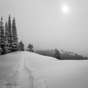 Flat light on the way up to the Promised Land.