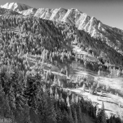 Fresh snow in the Wasatch.