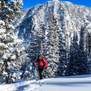 The tour to Red Pine is long, approximately two hours.