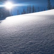 Cold smoke powder from the Christmas storm that didn't have any wind in this area.