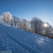 Super frigid morning in the Wasatch where the temp at the car was -8F.