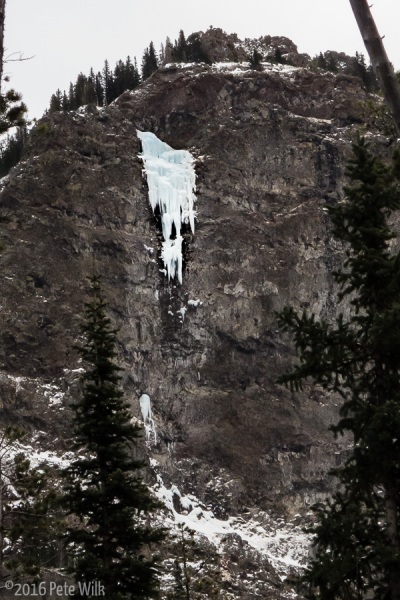 Winter Dance (WI6) in all its not quite formed glory.