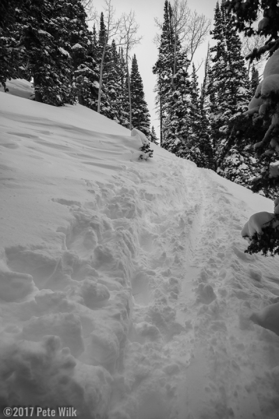 Destroyed skinner on the way to Promise Land.  Hikers without snowshoes, 5-6 snowboarders (in different groups) with ZERO avy gear were the culprits.