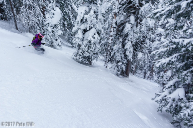 Deep snow in the trees.