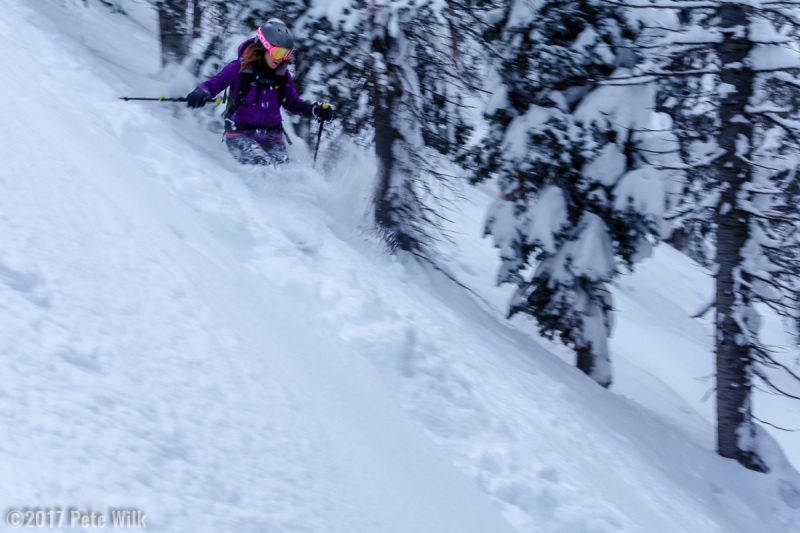 Knee deep in spots!