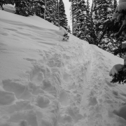 Destroyed skinner on the way to Promise Land.  Hikers without snowshoes, 5-6 snowboarders (in different groups) with ZERO avy gear were the culprits.