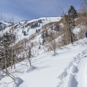 Carly enjoying the views up Silver Fork on a bluebird day.