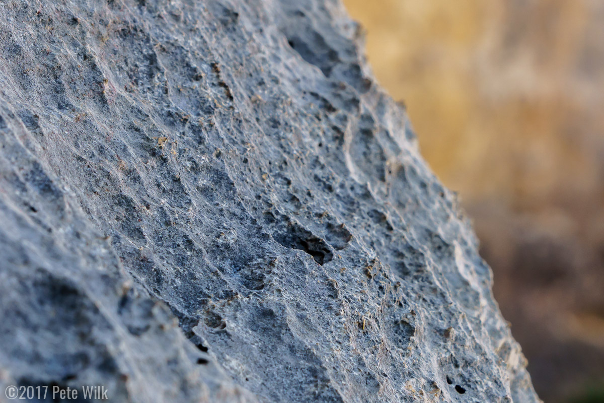 Close up of some of the sharp limestone.