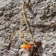 Manky anchor style that passes for the norm at this crag.