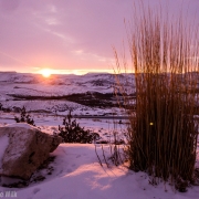 Great sunrise from the houe we stayed at.