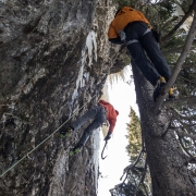 Maxime on a rope. Manu in a tree.