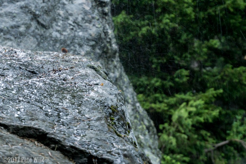 Pouring.