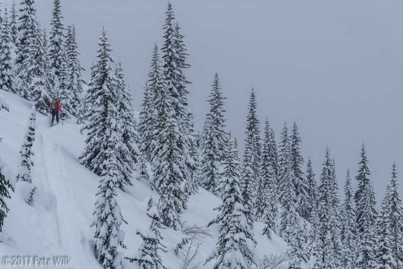 It snowed on average about 6" per day, everyday. This limited visibility and the lines were were able to ski. But it made for fresh tracks everyday.