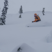 While never over the head blower powder, it was soft and allowed for great bouncy turns.