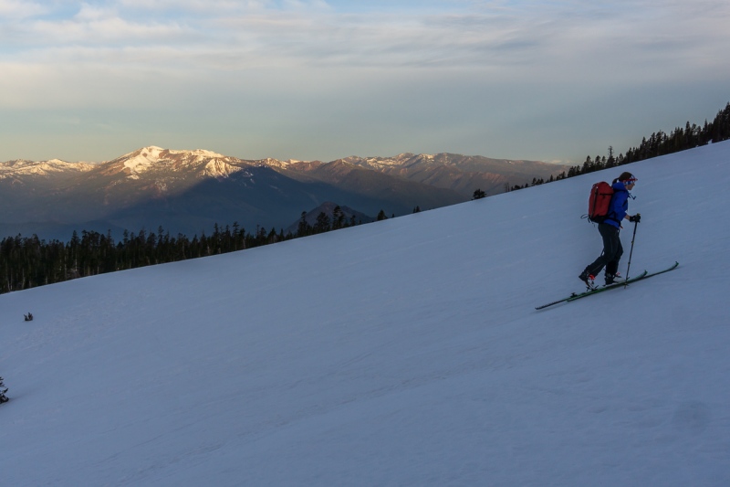 Skinning up the easy, but icy slopes down low.