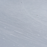 The conditions from the summit to the top of the Red Banks sucked.  Carly opted to walk down from Thumb Rock until the snow was soft enough for her to ski.  I was able to ski before her and so here I am about 1000\' feet below looking up.