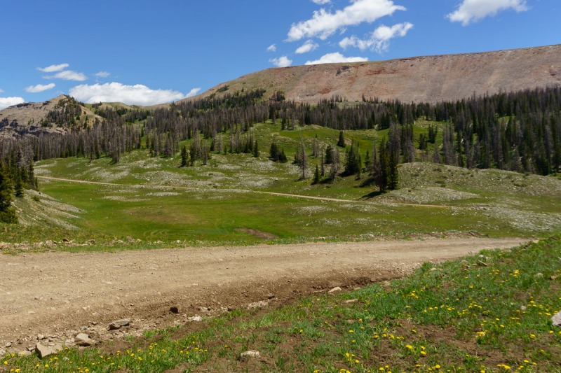 The beautiful high alpine pass and meadow.