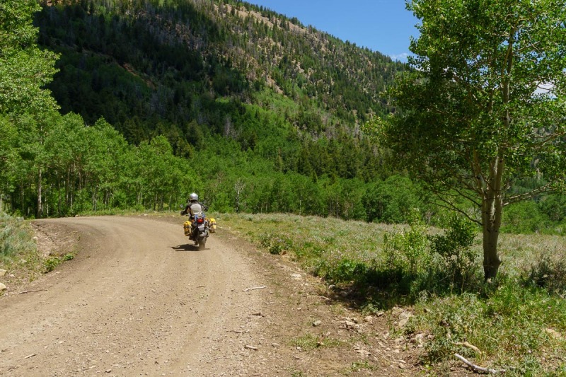 More dirt roads in the forest.