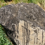 One of the rocks with tar that reportedly seeped out of.  This rock is probably what they were mining.