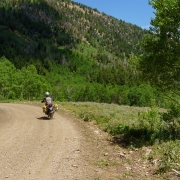 More dirt roads in the forest.