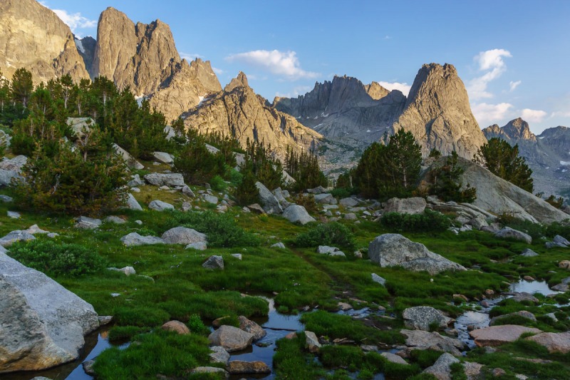 The last look over the alpine meadow.