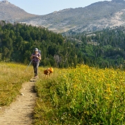 We ended up with one more on the way out.  Our friends Mark and Jess wanted to climb a route but needed to have someone look after Pancho.